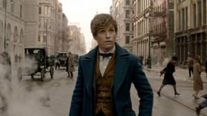 مراجعة فيلم Fantastic Beasts and Where to Find Them